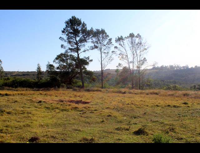 231HA FARM FOR SALE IN EAST LONDON RURAL